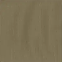 Dutch Wallcoverings Vliesbehang uni - bruin