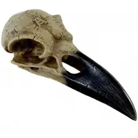 Alchemy - Corvus Alchemica skull Beeld/figuur - Beige