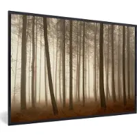 PosterMonkey Fotolijst incl. Poster - Bos - Mist - Boom - 60x40 cm - Posterlijst