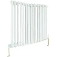 Eastbrook Rivassa 2 koloms radiator 55x60cm staal 756W wit glans