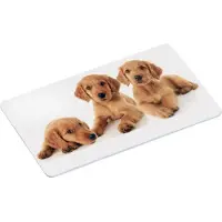 Kesper Ontbijtbord puppy's, Set van 2 stuks, Melamine