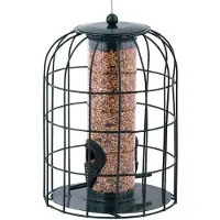 Esschert Design Voedersilo Beschermsilo Zaden - - FB207 - Voedersilo voor Vogels