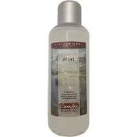 SPC Onbrandbaar sauna opgietmiddel - Mint (250ml)