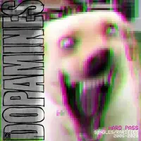 Suburban Hard Pass: Singles/Rarities 2006/2020