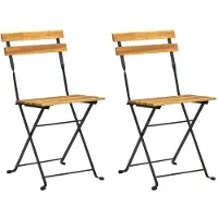 vidaXL Tuinstoelen 2 st inklapbaar staal en massief acaciahout