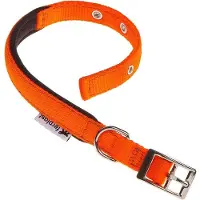 Ferplast Daytona 25 Mm 45 Cm Dog Collar Oranje