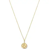 New Bling 9NBG-0288 Gouden Ketting met Sterrenbeeld - Waterman - 10 mm Doorsnee - Ankerschakel - 39 + 3 + 3 cm - 0,8 mm Dik - 14 Karaat - Goud