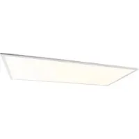 QAZQA LED paneel staal 120 cm incl. LED met afstandsbediening - Liv