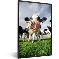 PosterMonkey Fotolijst incl. Poster - Gras - Neus - Koe - 20x30 cm - Posterlijst