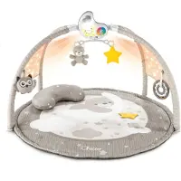 Chicco Baby Gym kleurenplezier Beige