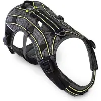 EQDOG Pro Harness hondentuig Groen - Maat L\XL