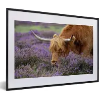 PosterMonkey Fotolijst incl. Poster - Schotse Hooglander - Lavendel - Horens - 60x40 cm - Posterlijst