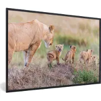 PosterMonkey Fotolijst incl. Poster - Leeuw - Baby - Wild - 90x60 cm - Posterlijst