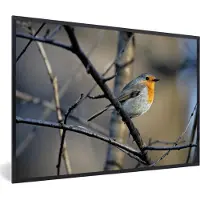 PosterMonkey Fotolijst incl. Poster - Roodborstje - Vogel - Takken - 60x40 cm - Posterlijst
