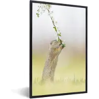 PosterMonkey Fotolijst incl. Poster - Lente - Eekhoorn - Bloem - 40x60 cm - Posterlijst