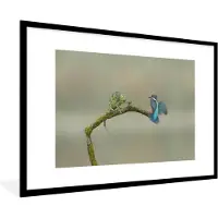 PosterMonkey Fotolijst incl. Poster - IJsvogel - Tak - Vleugels - 120x80 cm - Posterlijst
