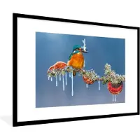 PosterMonkey Fotolijst incl. Poster - IJsvogel - Tak - Vis - 120x80 cm - Posterlijst