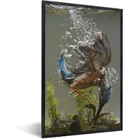 PosterMonkey Fotolijst incl. Poster - IJsvogel - Zwemmen - Vis - 80x120 cm - Posterlijst