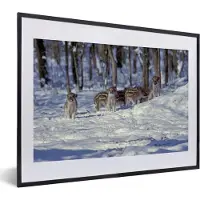 PosterMonkey Fotolijst incl. Poster - Varken - Winter - Big - 40x30 cm - Posterlijst