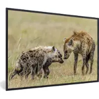 PosterMonkey Fotolijst incl. Poster - Hyena - Gras - Safari - 120x80 cm - Posterlijst