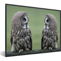 PosterMonkey Fotolijst incl. Poster - Grote grijze uilen - 40x30 cm - Posterlijst