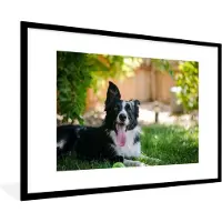 PosterMonkey Fotolijst incl. Poster - Hond - Gras - Dieren - 120x80 cm - Posterlijst