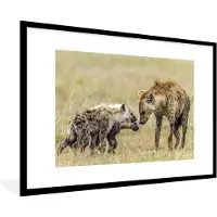 PosterMonkey Fotolijst incl. Poster - Hyena - Gras - Safari - 120x80 cm - Posterlijst