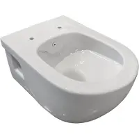 Best design Hilda wandcloset 53cm met bidet sproeier zonder spoelrand