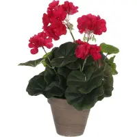 Mica Decorations Kunstgeranium