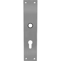 Intersteel renovatieschild rechthoekig 250x55x2mm profielcilindergat 55mm - RVS