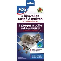 Bsi 2 Lijmvallen Tegen Muizen En Ratten