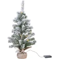 Everlands Kerstboom Lumineo Imperial Besneeuwd Ø 36 x 60 cm Mini MicroLED