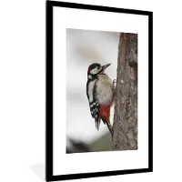 PosterMonkey Fotolijst incl. Poster - Een grote bonte specht in de winter - 60x90 cm - Posterlijst