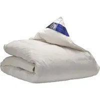 Ten Cate Dekbed - 4 Seizoenen dekbed - 90% Eendendons - Dekbed 240x200 cm