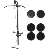 vidaXL Krachttoren voor aan de wand met gewichtsschijven 40 kg