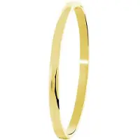 Lucardi Stalen armband bangle goldplated 5mm