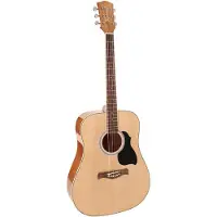 Richwood Akoestische gitaar Artist Series Dreadnought RD-12