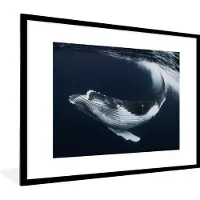 PosterMonkey Fotolijst incl. Poster - Walvis maakt aan draai in het water - 80x60 cm - Posterlijst