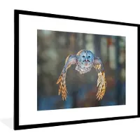 PosterMonkey Fotolijst incl. Poster - Vliegende uil op vervaagde achtergrond - 80x60 cm - Posterlijst