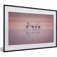 PosterMonkey Fotolijst incl. Poster - Vier flamingo's staan in het water - 60x40 cm - Posterlijst