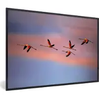 PosterMonkey Fotolijst incl. Poster - Flamingo's vliegen in de lucht - 30x20 cm - Posterlijst