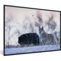 PosterMonkey Fotolijst incl. Poster - Wolven - Sneeuw - Bos - 60x40 cm - Posterlijst