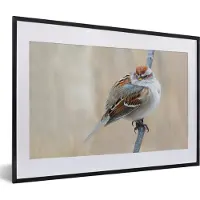 PosterMonkey Fotolijst incl. Poster - Dikke vogel op een tak - 60x40 cm - Posterlijst