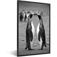 PosterMonkey Fotolijst incl. Poster Zwart Wit- Kussende pinguïns - zwart wit - 40x60 cm - Posterlijst