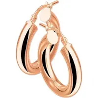 The Jewelry Collection Oorringen Ronde Buis - Rosgoud
