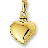 Trendjuwelier huiscollectie 4013114 Gouden urnhanger