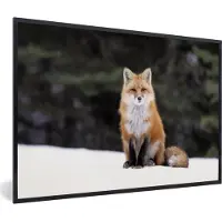 PosterMonkey Fotolijst incl. Poster - Vos - Sneeuw - Rood - 30x20 cm - Posterlijst