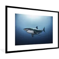 PosterMonkey Fotolijst incl. Poster - Zijaanzicht grote witte haai - 90x60 cm - Posterlijst