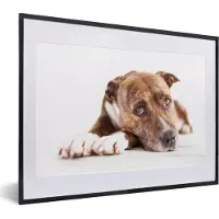 PosterMonkey Fotolijst incl. Poster - Liggende hond fotoprint - 40x30 cm - Posterlijst