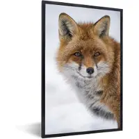 PosterMonkey Fotolijst incl. Poster - Vos - Portret - Sneeuw - 40x60 cm - Posterlijst
